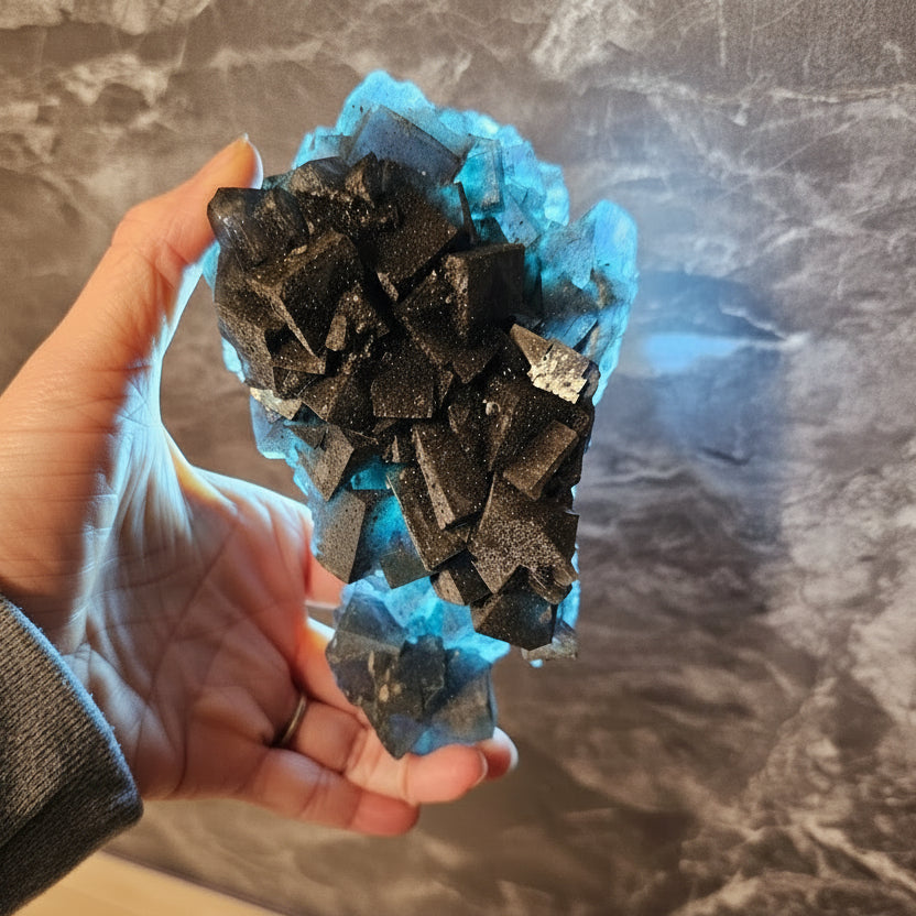 Cubic Blue Fluorite with Purple Phantoms and Pyrite