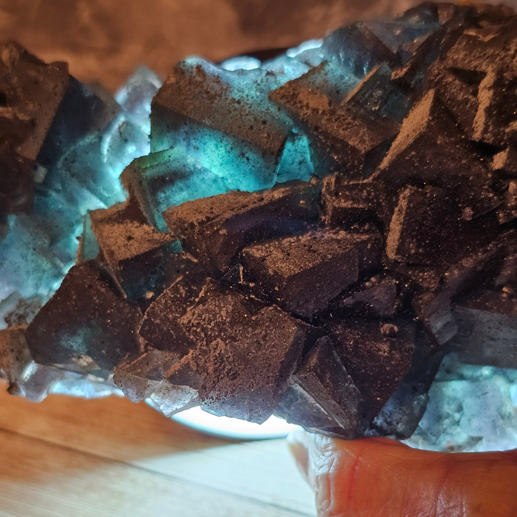 Cubic Blue Fluorite with Purple Phantoms and Pyrite
