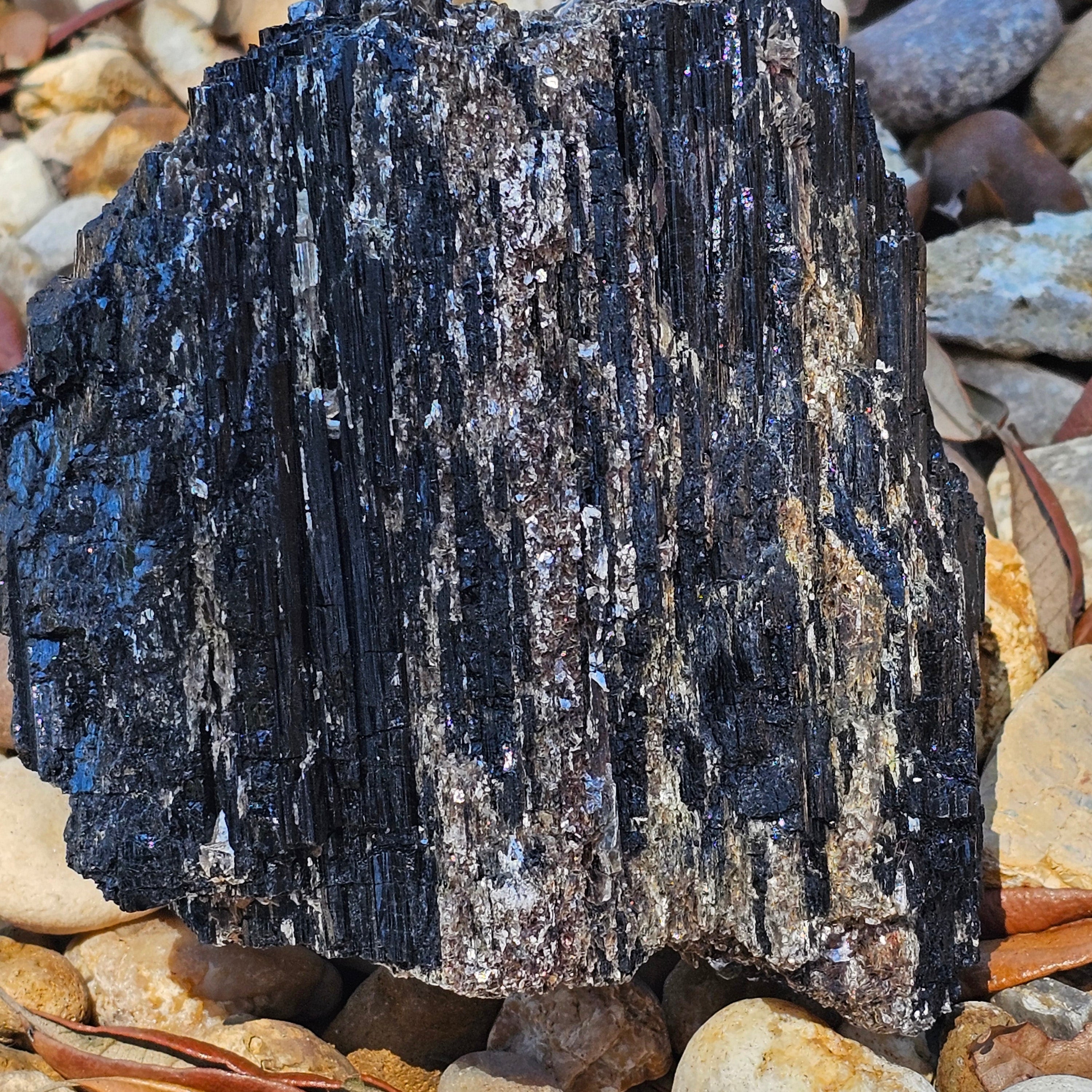Black Tourmaline with Gold Mica Rosette formation – Brazil