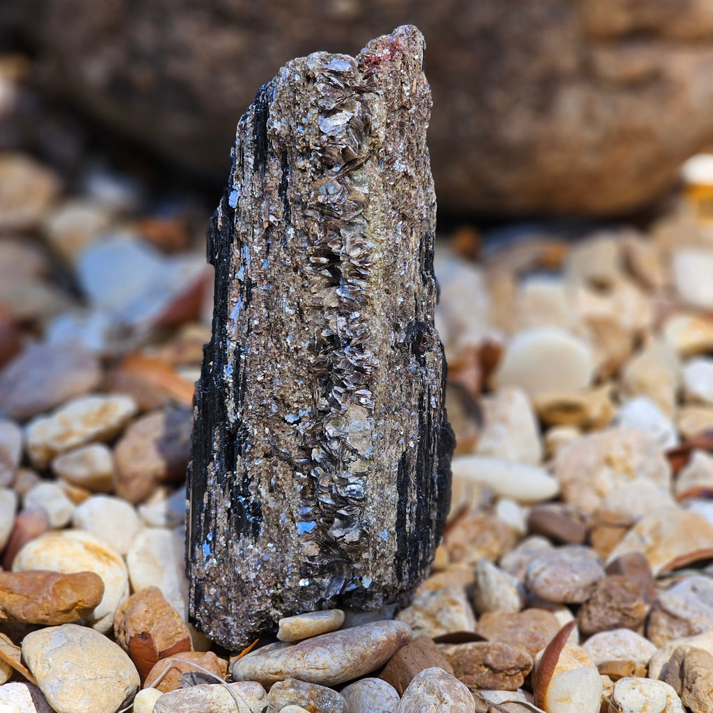 Black Tourmaline with Gold Mica – Brazil