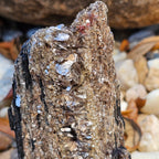 Black Tourmaline with Gold Mica – Brazil