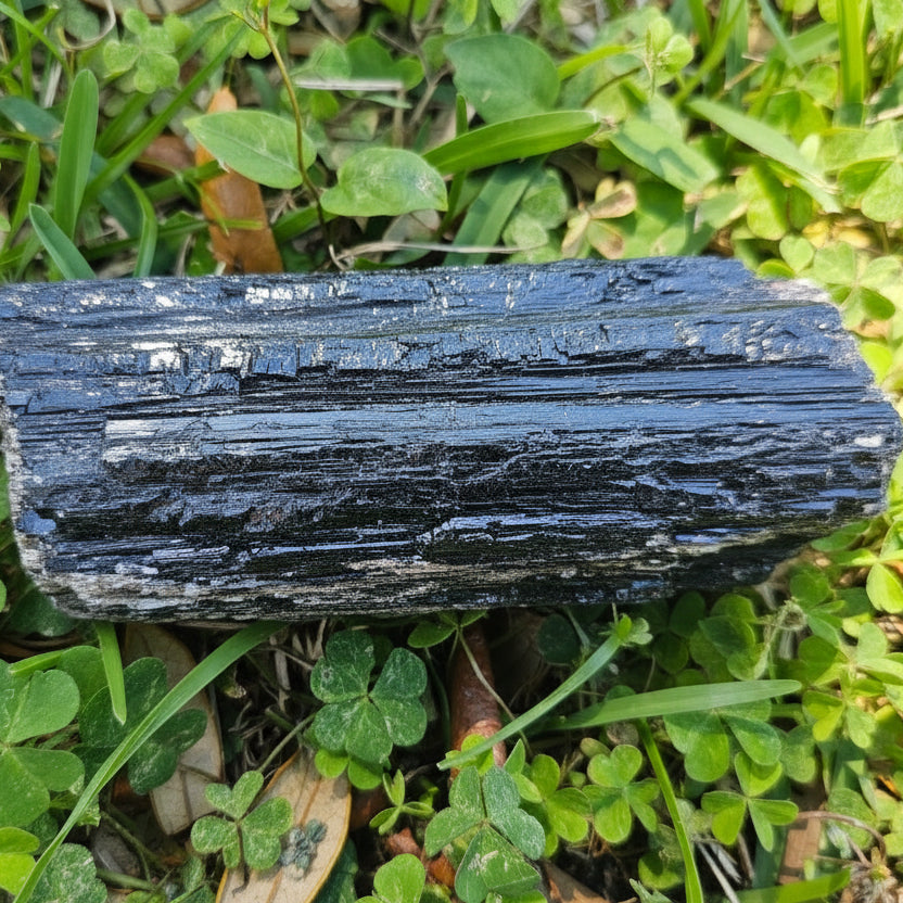 Black Tourmaline with Gold Mica – Brazil