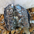 Black Tourmaline with Gold Mica Rosette formation – Brazil