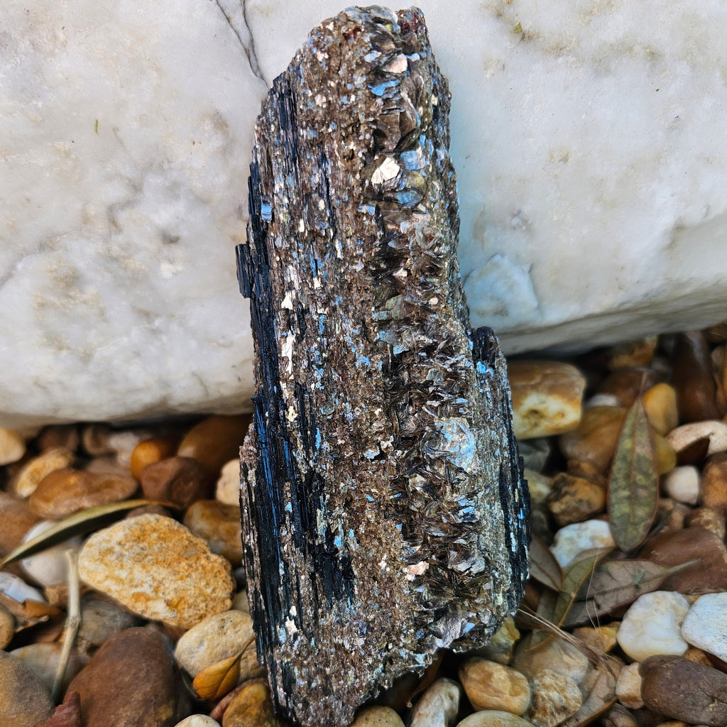 Black Tourmaline with Gold Mica – Brazil