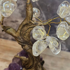 Clear Quartz Tree of Life on Amethyst Base