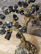 Black Schorl ( Tourmaline ) Tree of Life on Black Schorl base