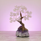 Clear Quartz Tree of Life on Amethyst Base