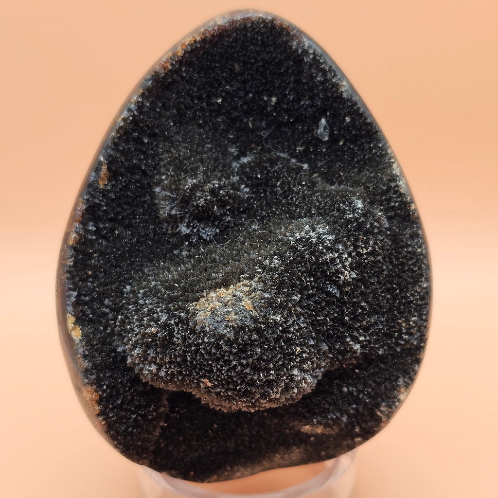 Septarian Egg