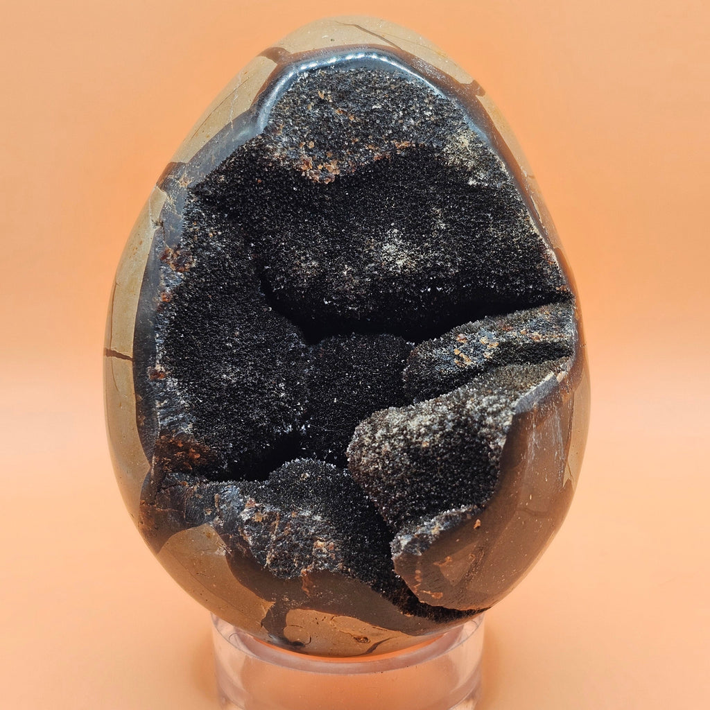 Septarian Egg