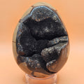 Septarian Egg