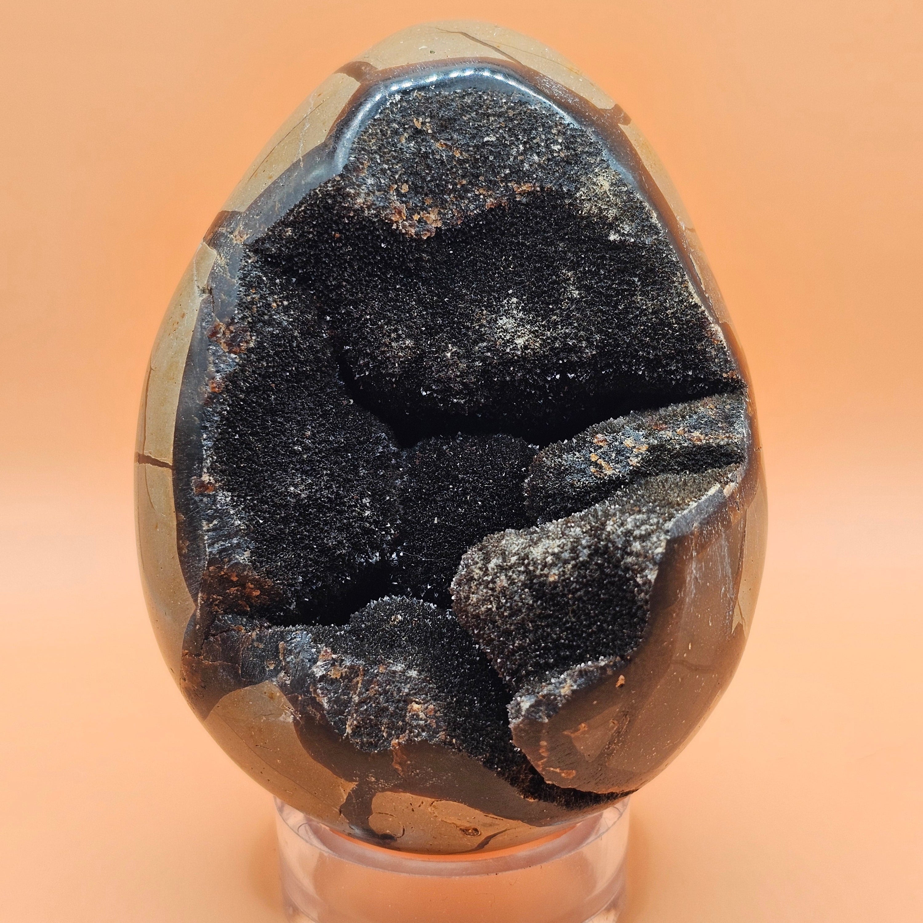 Septarian Egg