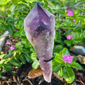 Amethyst Point LG Dragon Tooth with stand