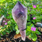 Amethyst Point LG Dragon Tooth with stand
