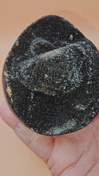 Septarian Egg