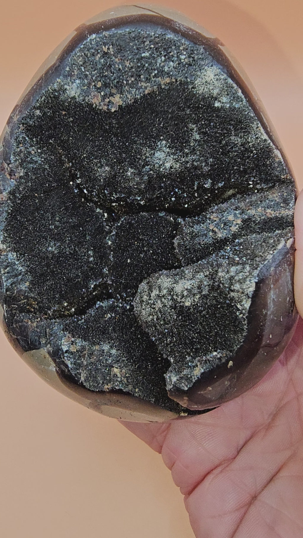Septarian Egg