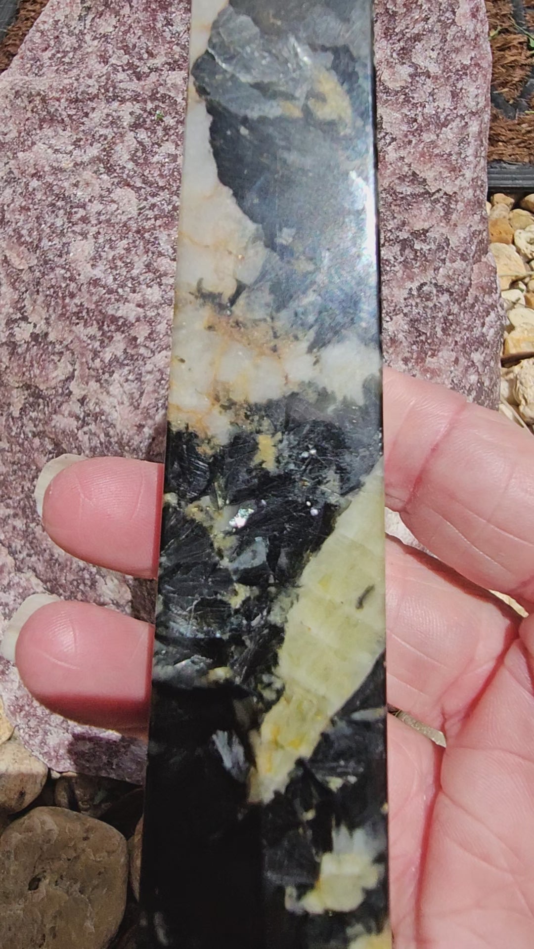 Yellow Tourmaline in Quartz and Black Mica Matrix   6.25" tall