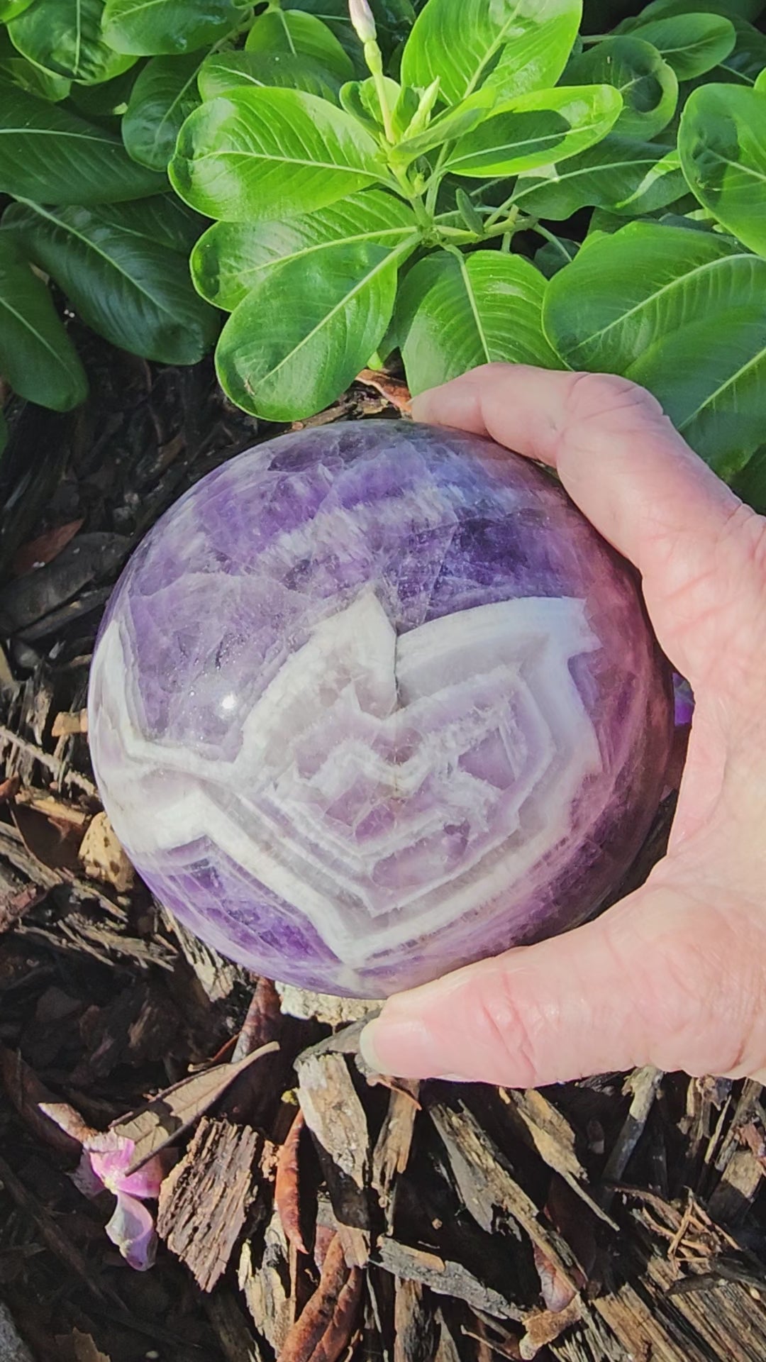 Dream amethyst Large Sphere   102 mm