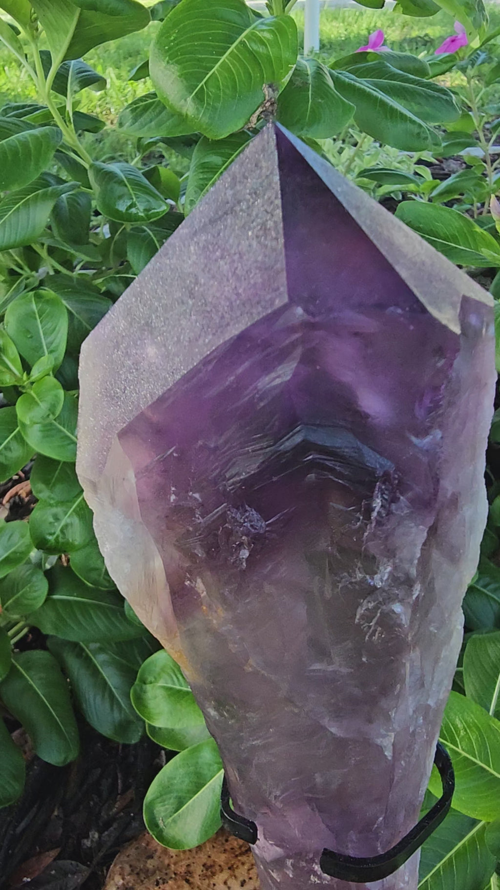 Amethyst Point LG Dragon Tooth with stand