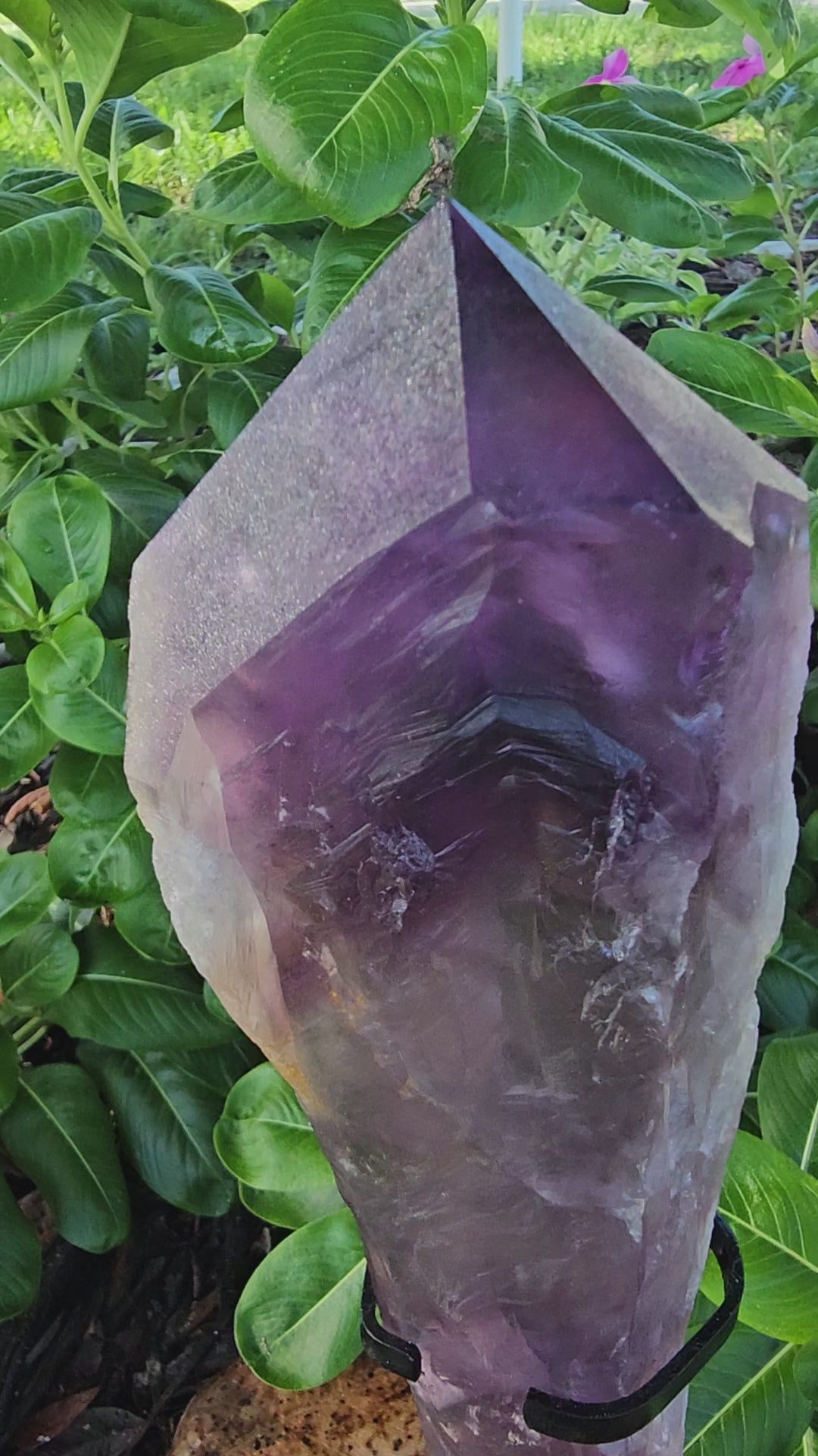 Amethyst Point LG Dragon Tooth with stand