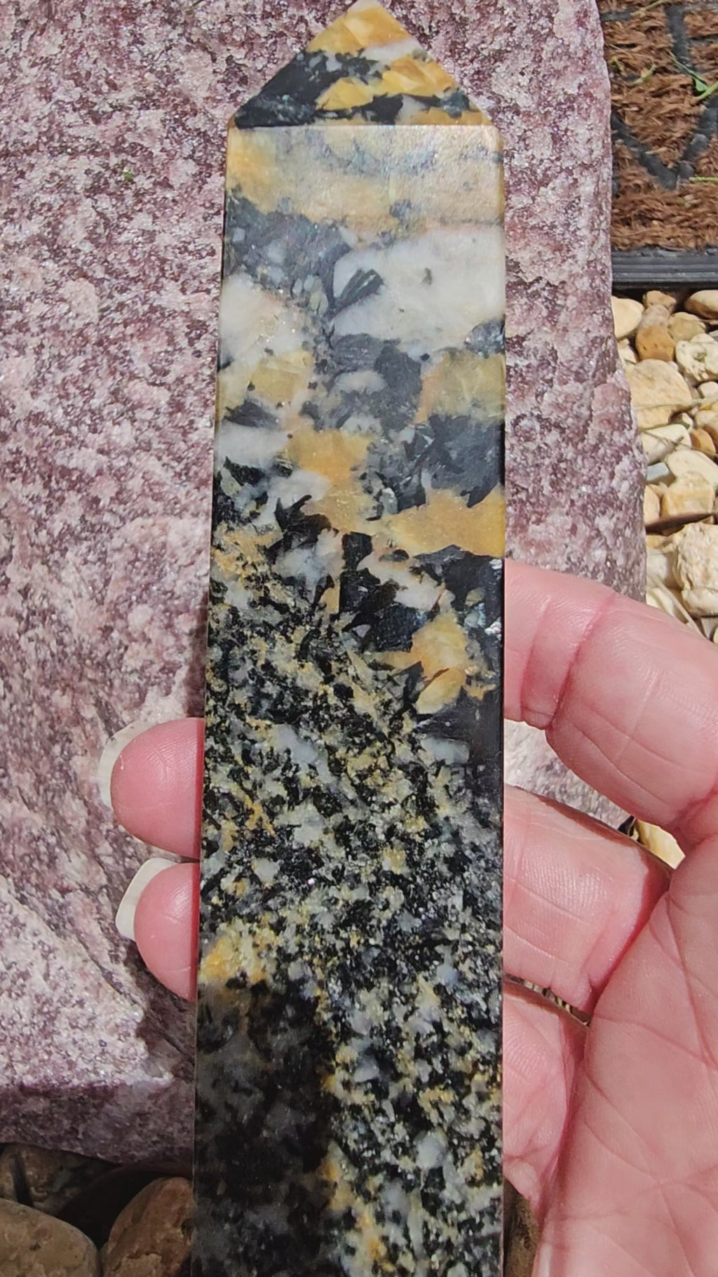 Yellow Tourmaline in Quartz and Black Mica Matrix    6.25"